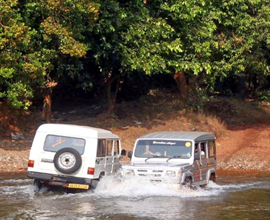 Jeep Safari Tour