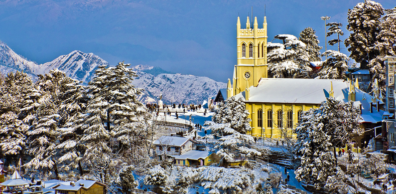 Shimla Group Package