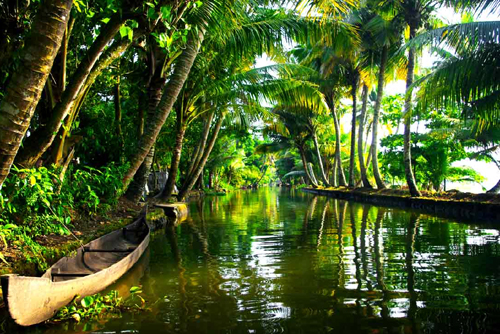 Amazing Kerala