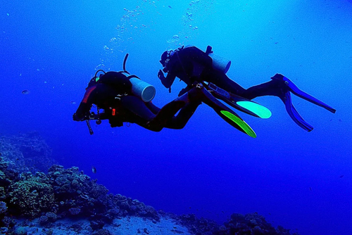 Scuba Diving in Kochi