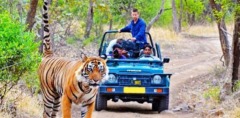 Delhi-Corbett National Park Weekend Tour